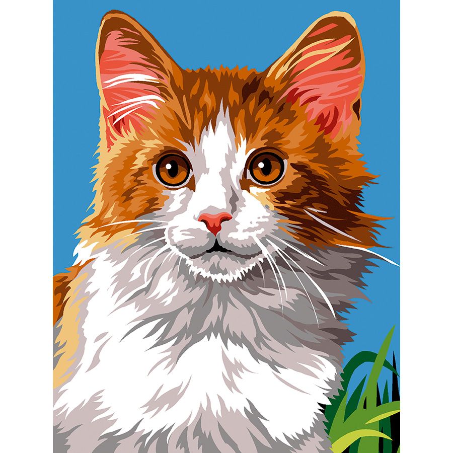 Gatto arancione e bianco