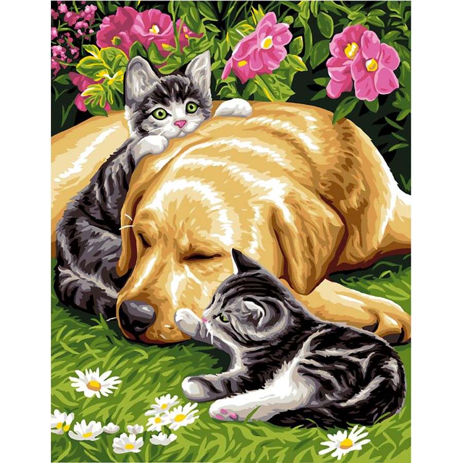 Labrador con i gatti