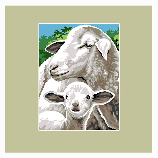 Pecora e agnello