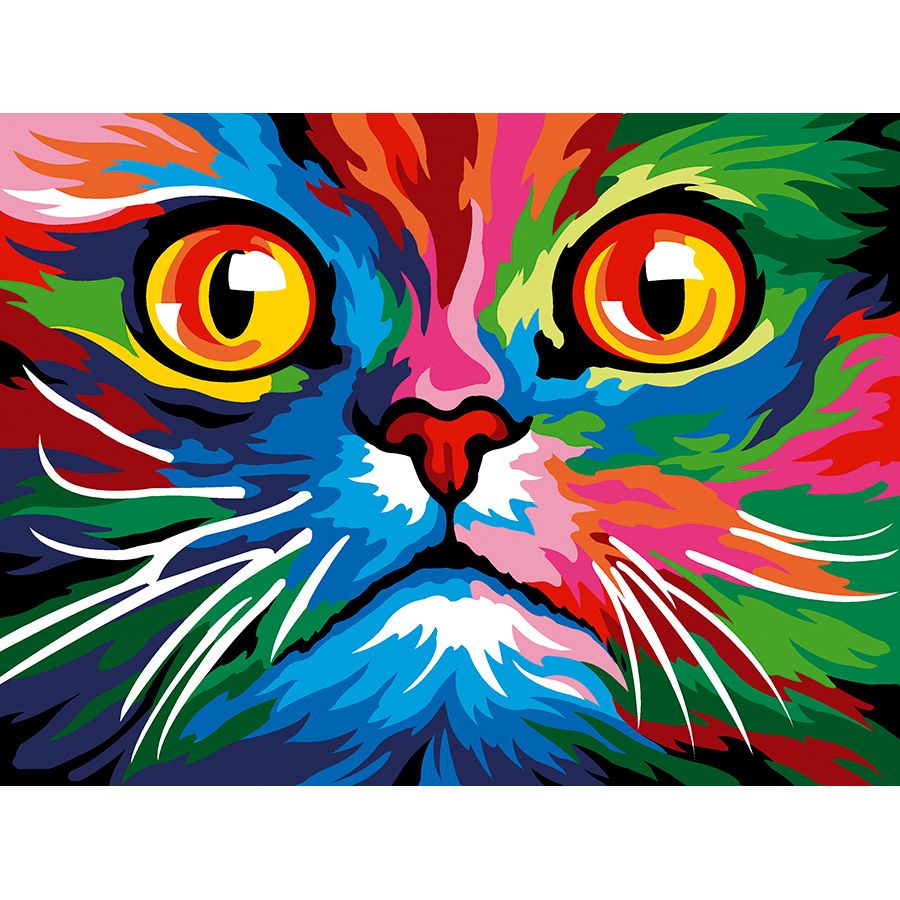 Gatto colorato