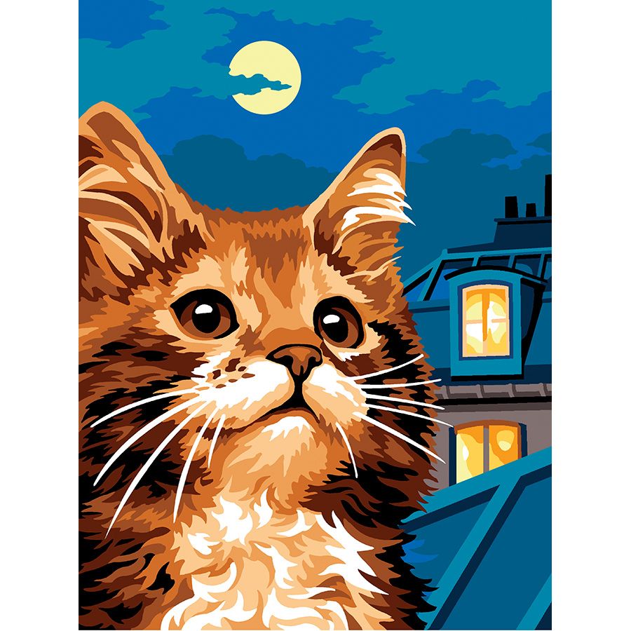 Il gatto di notte
