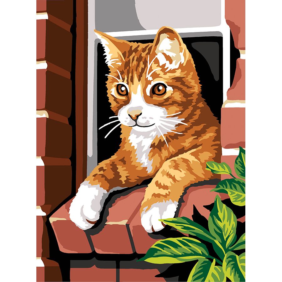 Gatto rosso