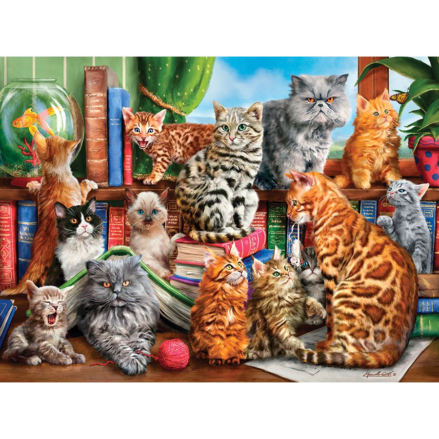 Casetta per gatti