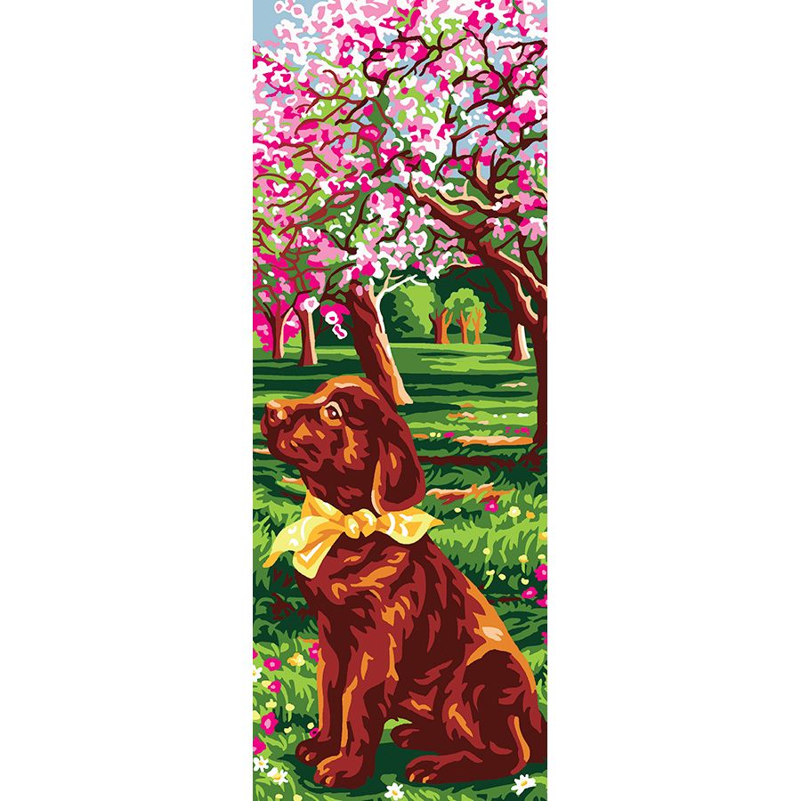 Labrador Retriver sotto il ciliegio