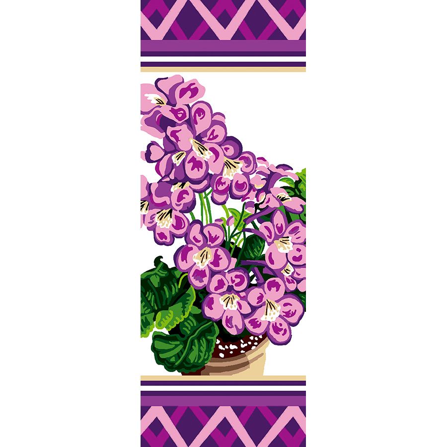 Armonia viola