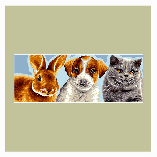 Coniglio, cane e gatto