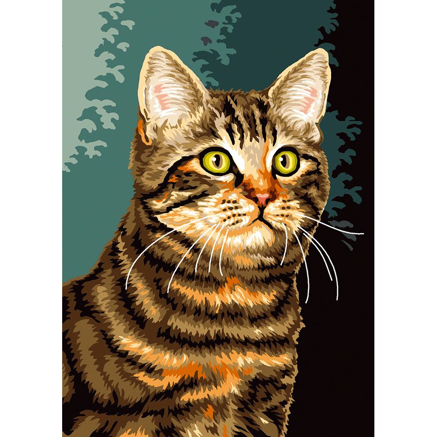 Gatto bruno con occhi verdi