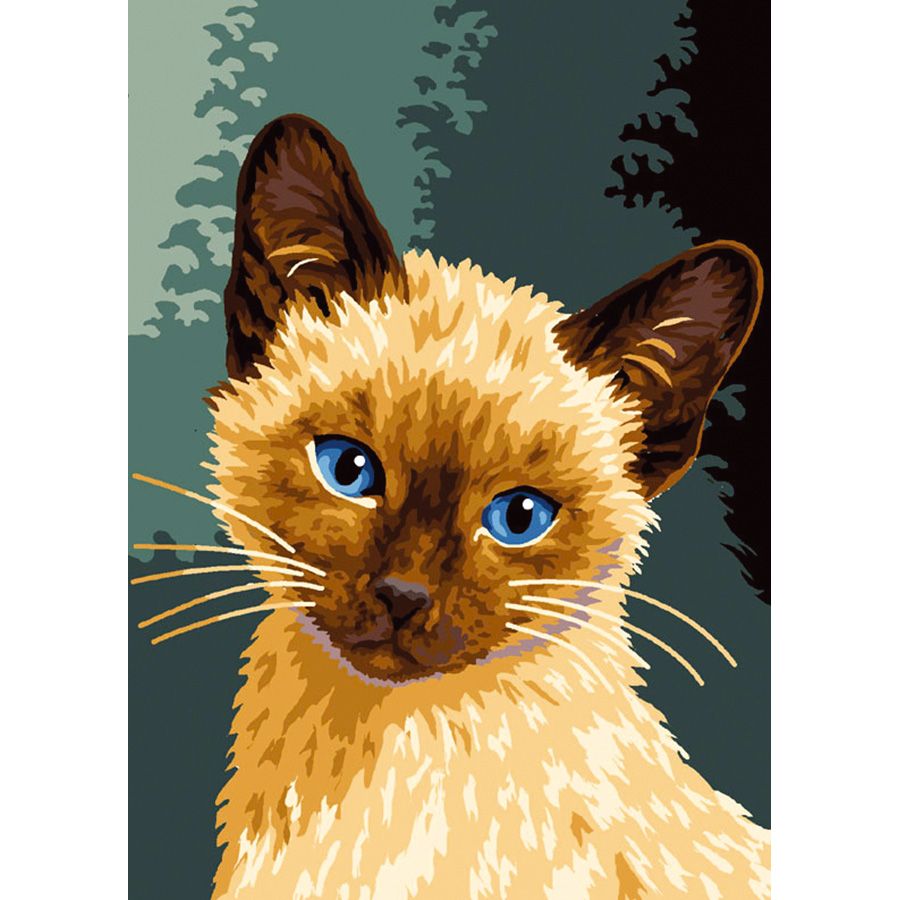 Gatto siamese dagli occhi blu
