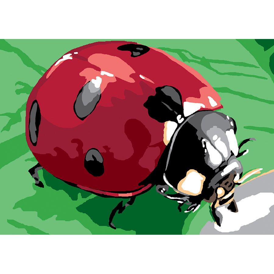 Coccinella sulla foglia