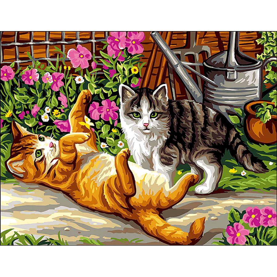 I gattini che giocano