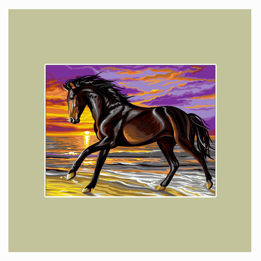 Cavallo in spiaggia al tramonto