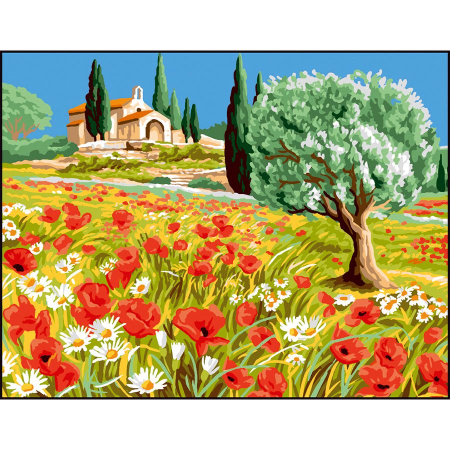Prato di tulipani e margherite