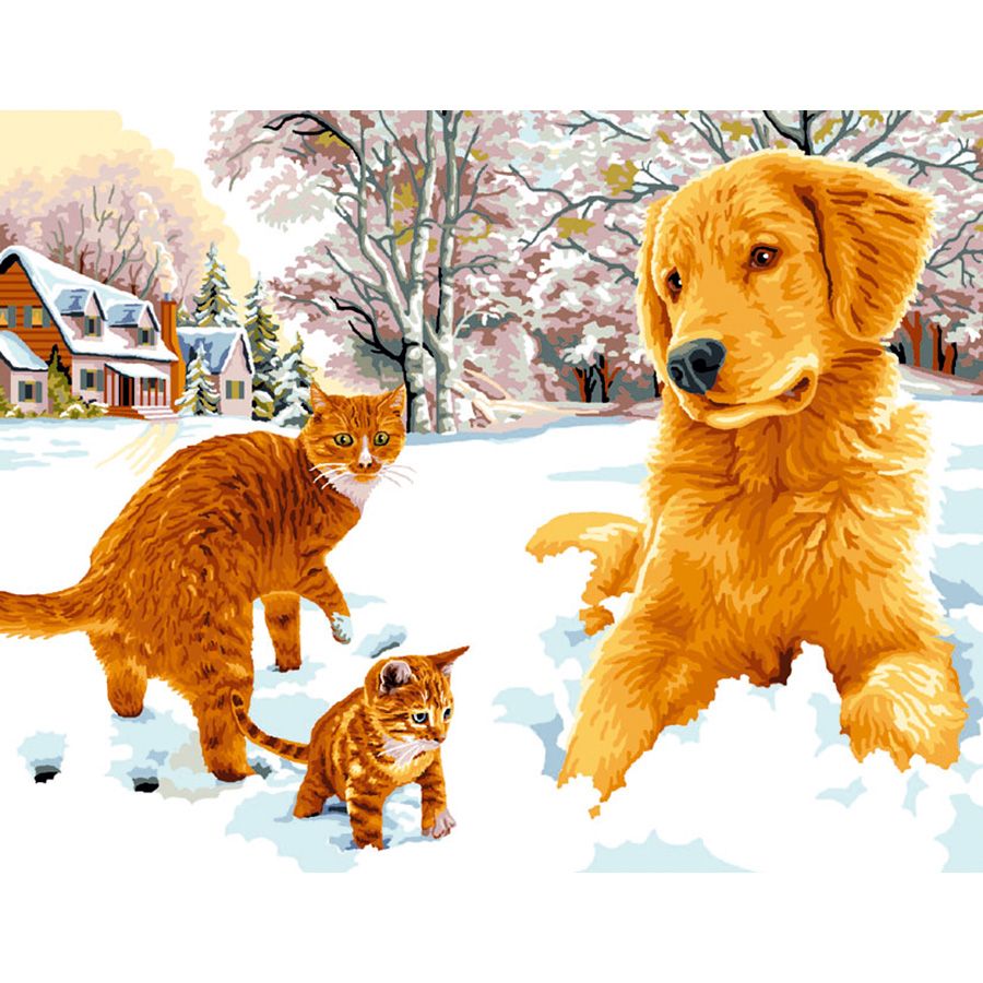 Cane e gatti nella neve
