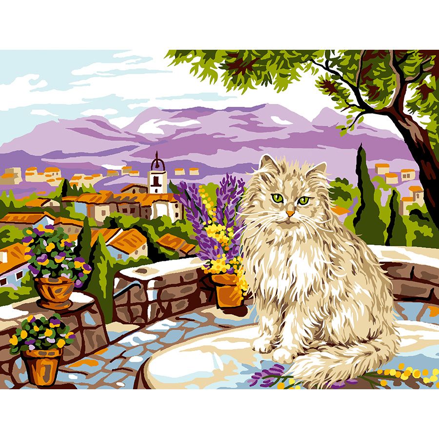 Gatto di Provenza