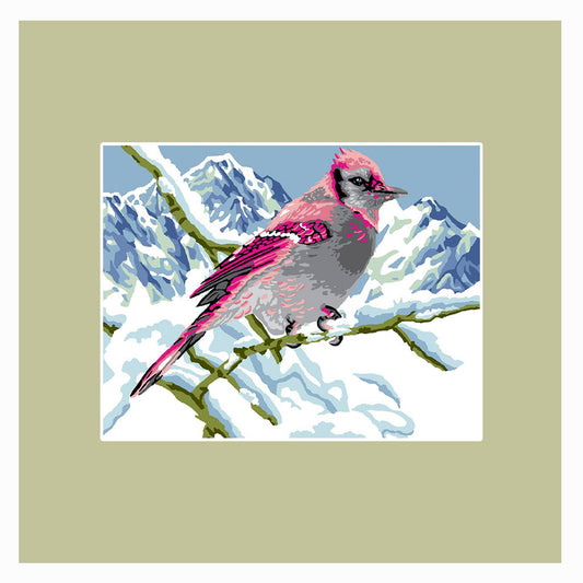 Uccello rosa di montagna