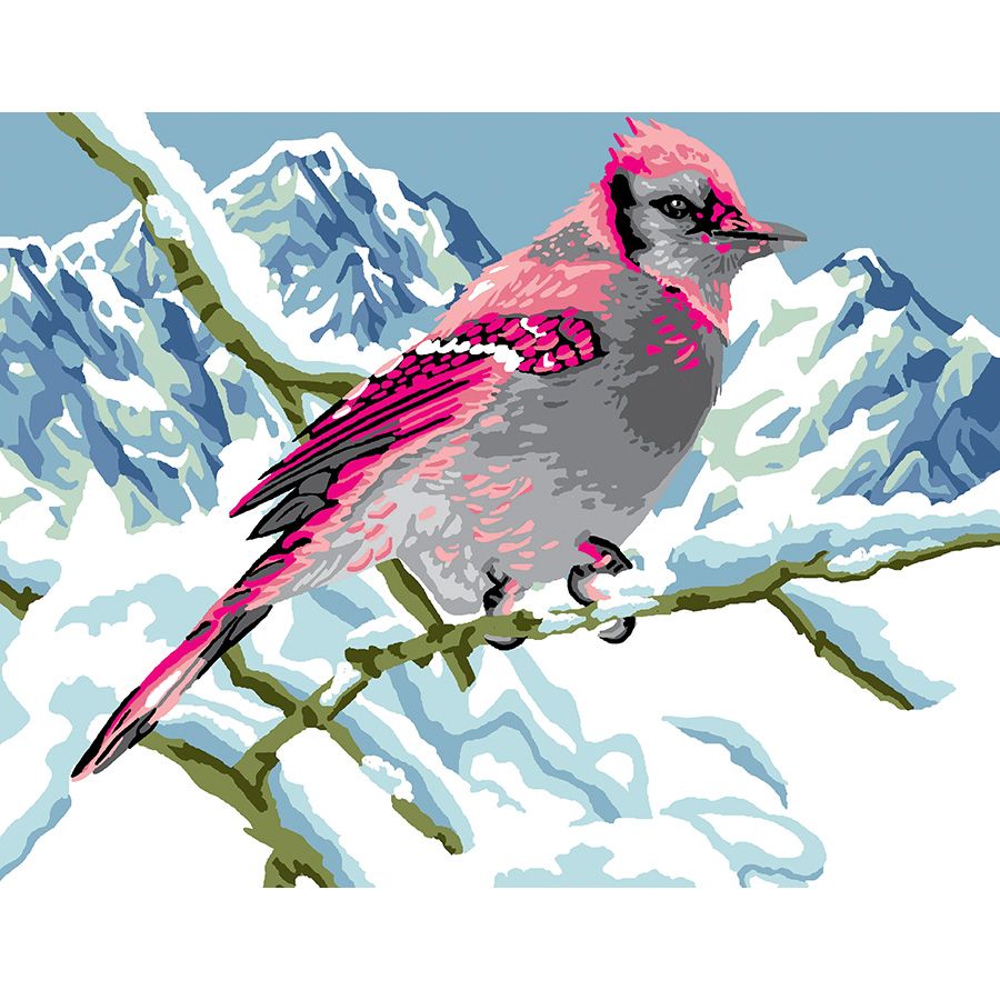 Uccello rosa di montagna