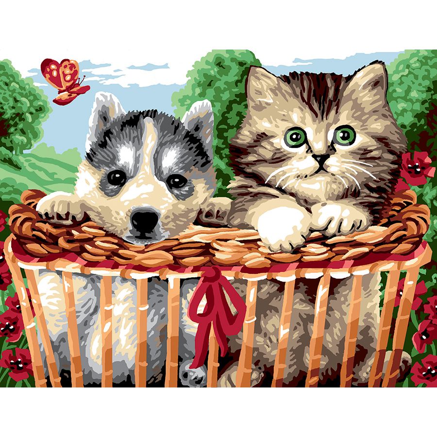 Cane e gatto nel cestino