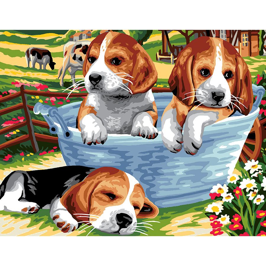 I Beagle nel catino