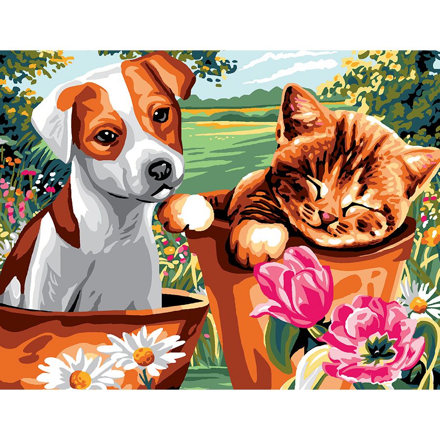 Il cane e il gatto nel vaso