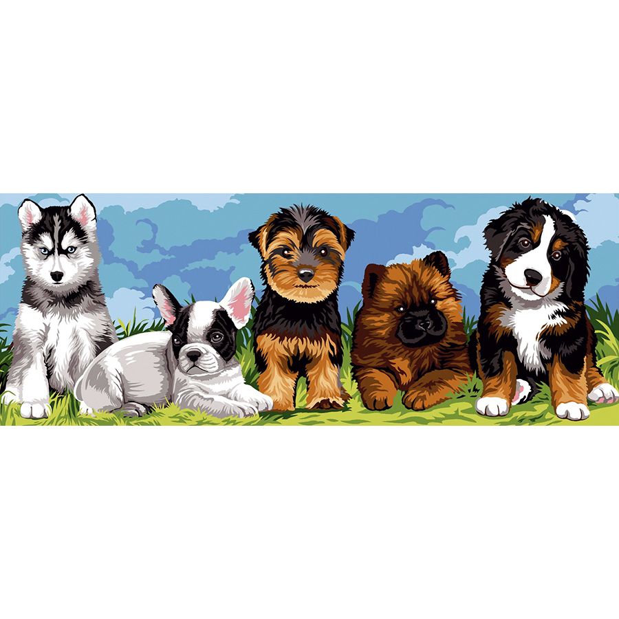 5 cani amici