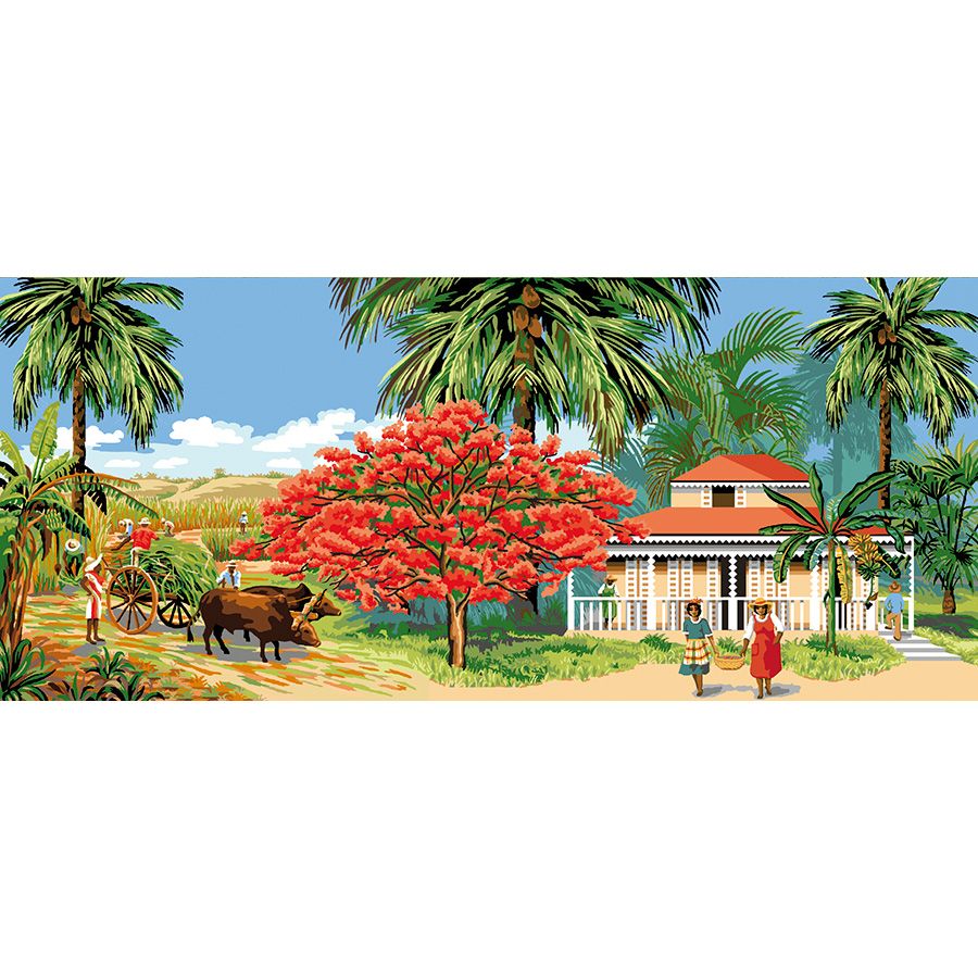La casa di vacanza e il campo