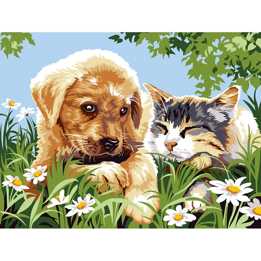 Cane e gatto nella margherite