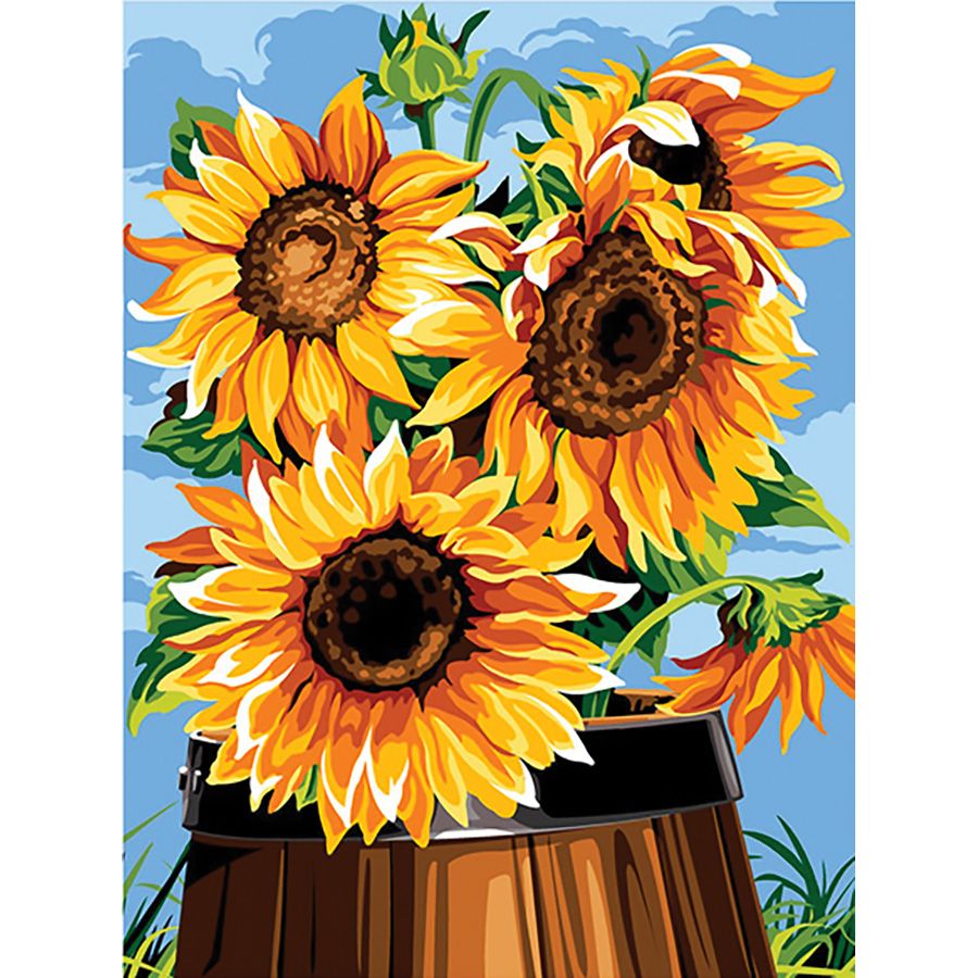 Girasoli nel barile