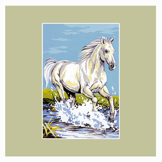 Cavallo bianco nel fiume