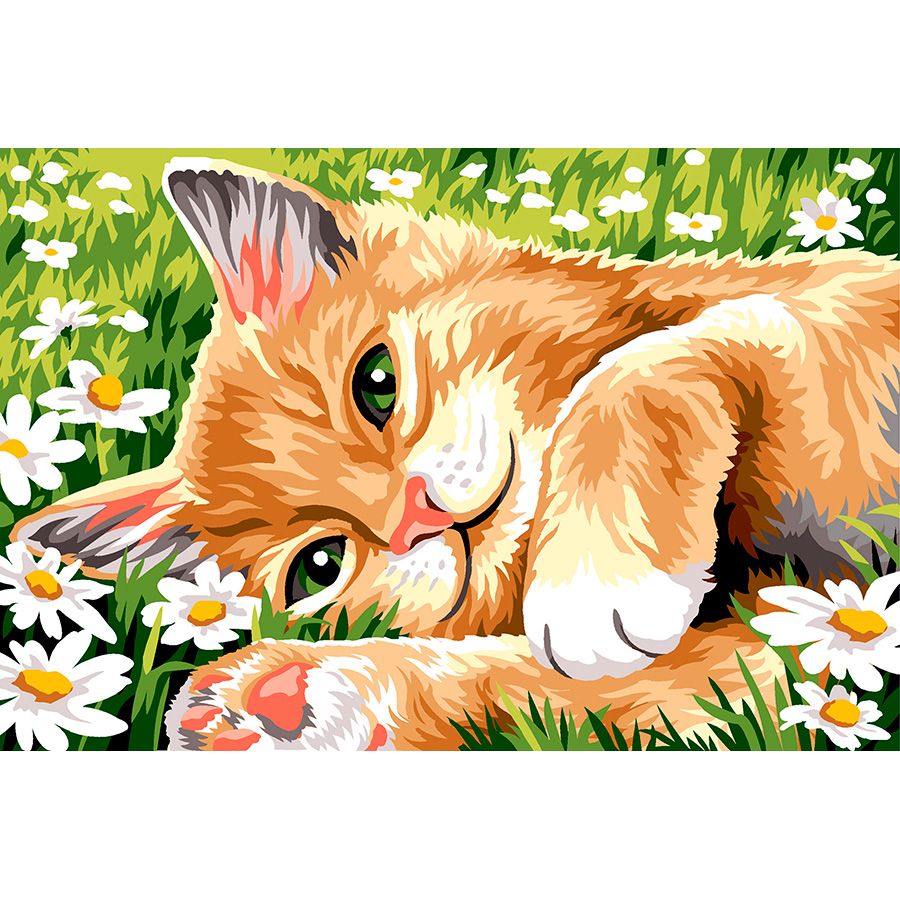 Il gatto pigro tra le margherite