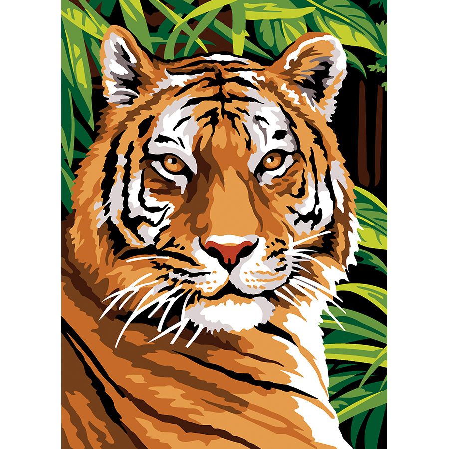 Lo sguardo della tigre