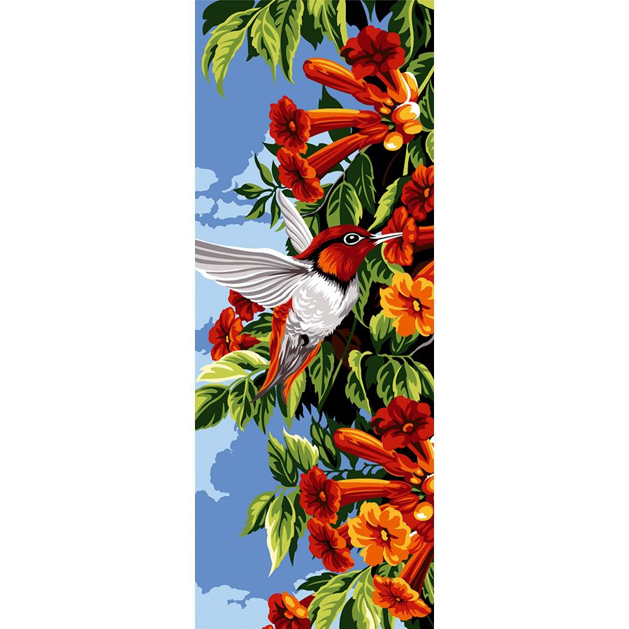 Colibrì rosso