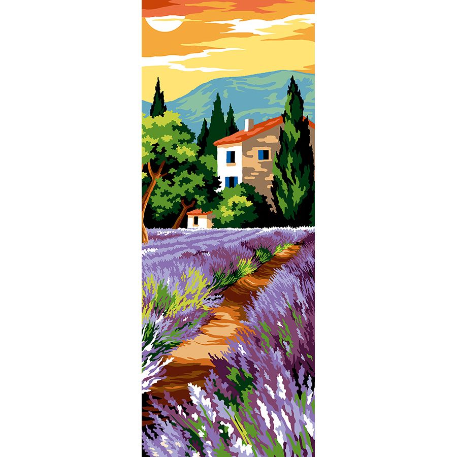 Il campo di fiori viola al tramonto