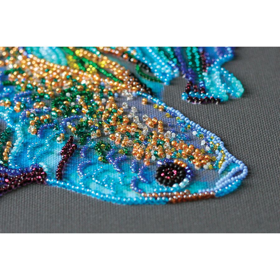Pesce azzurro dorato