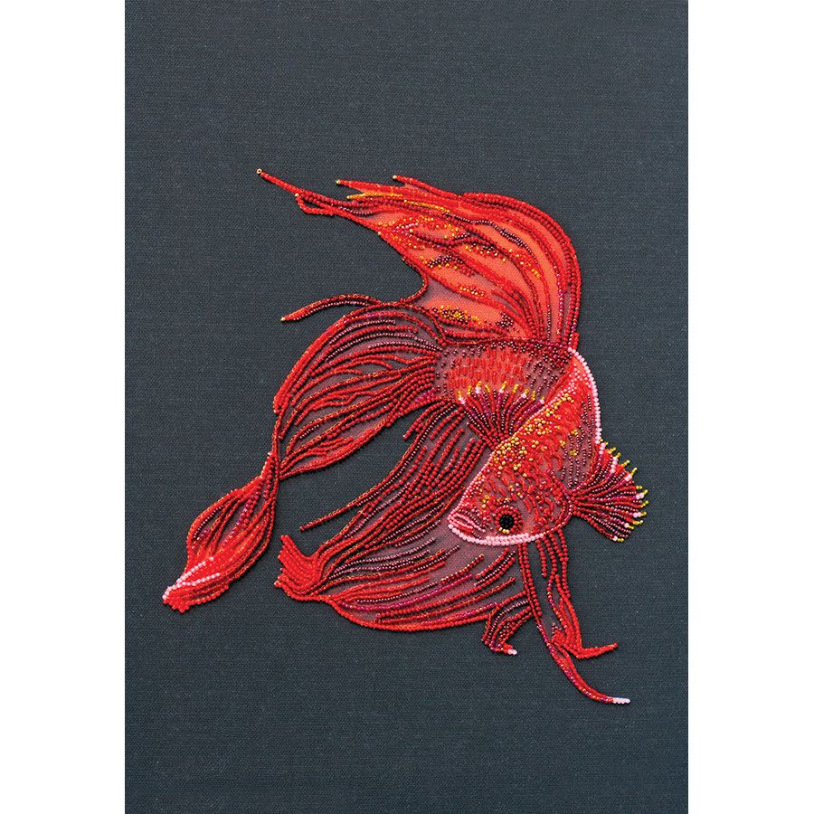 Pesce rosso