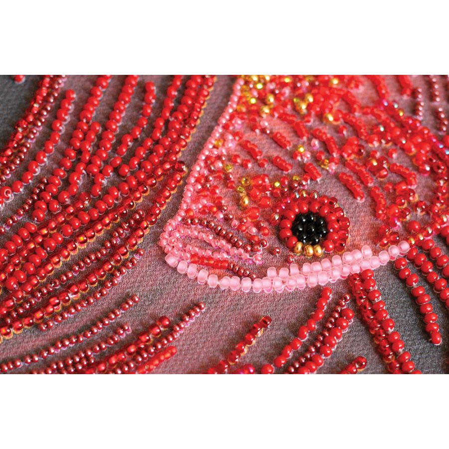 Pesce rosso