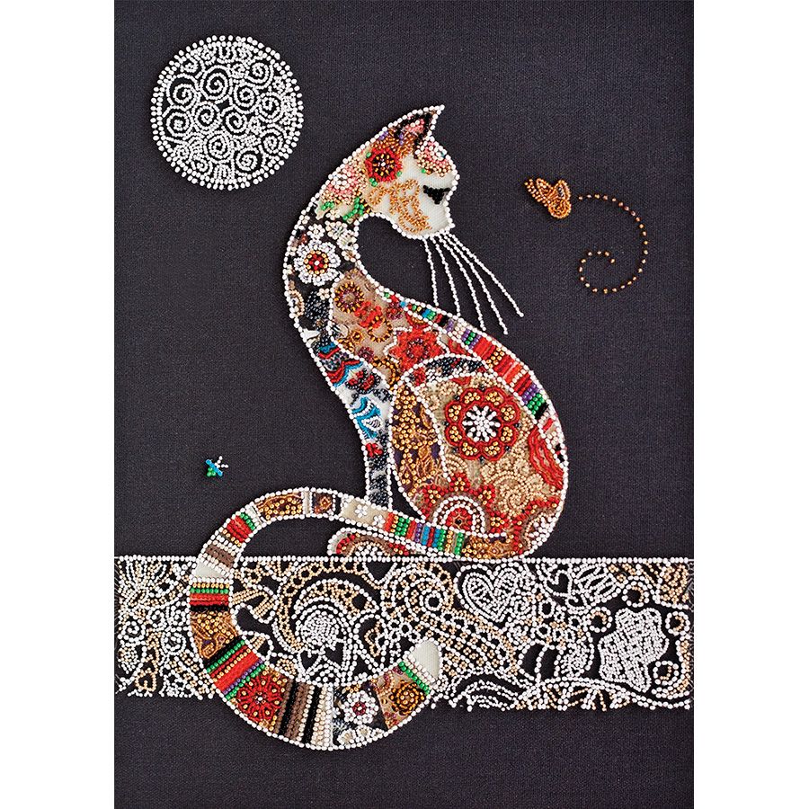 Gatto e farfalla
