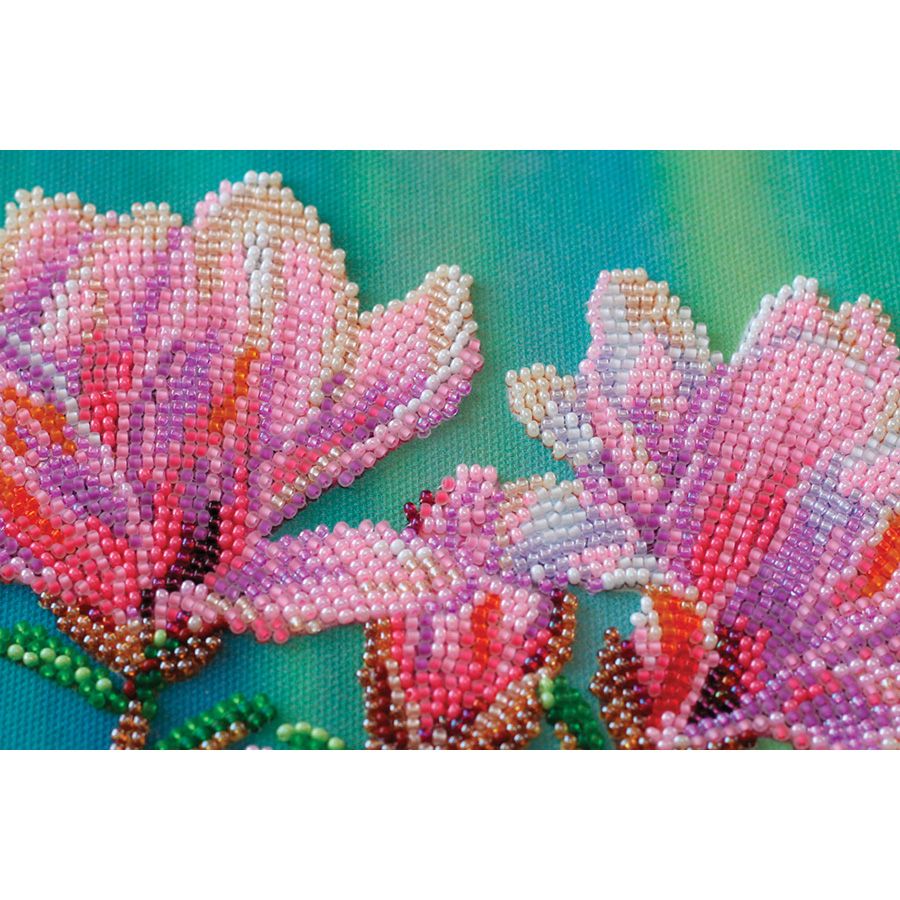Magnolie in fiore