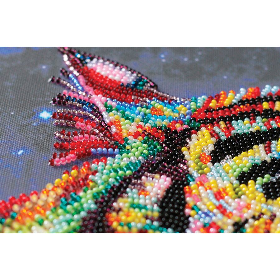 Tigri colorate