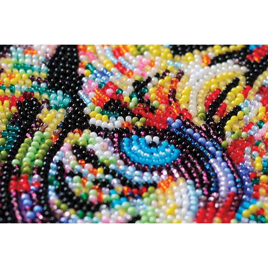 Tigri colorate