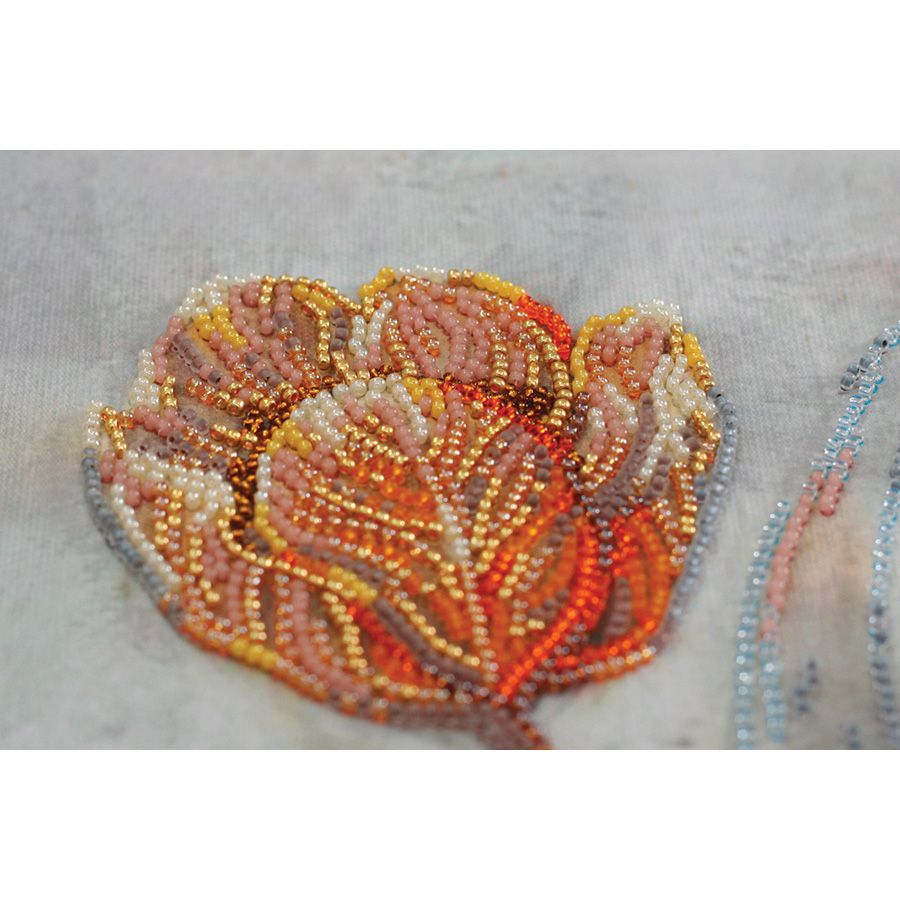 Fiori d'arancio