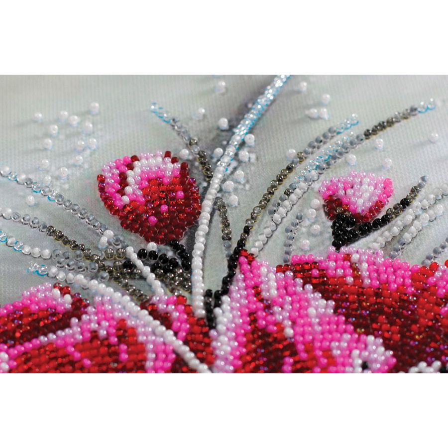 Profumo fucsia