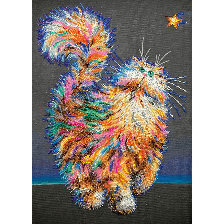 Gatto con la stella