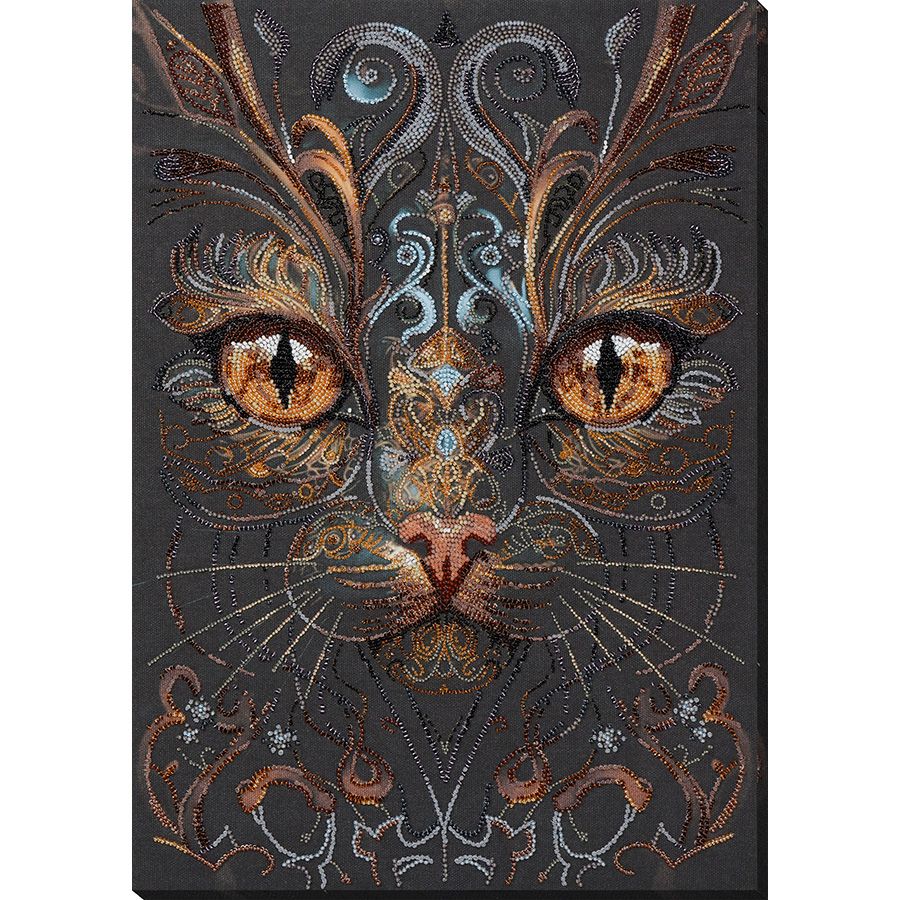 Occhi di gatto