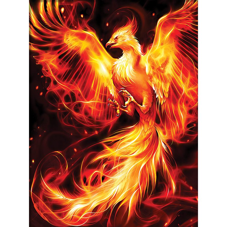 Fenice ardente