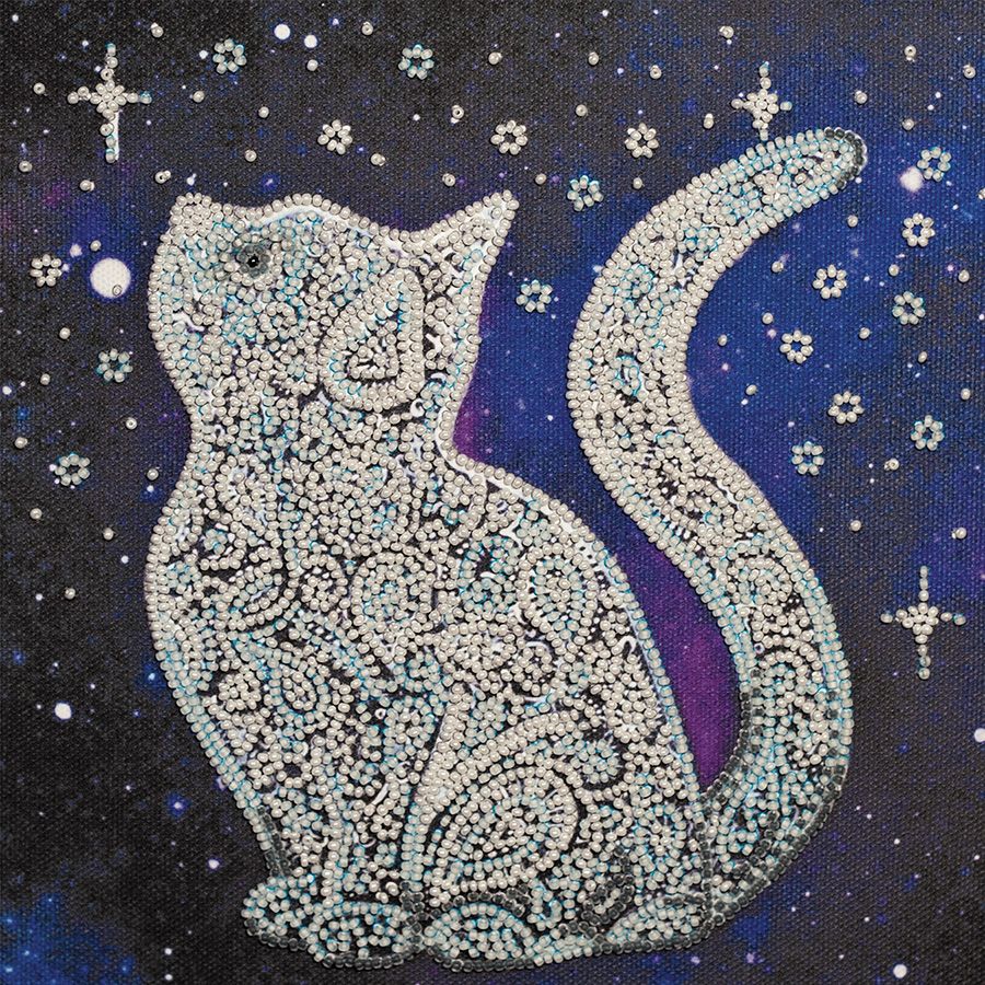 Gatto Stella