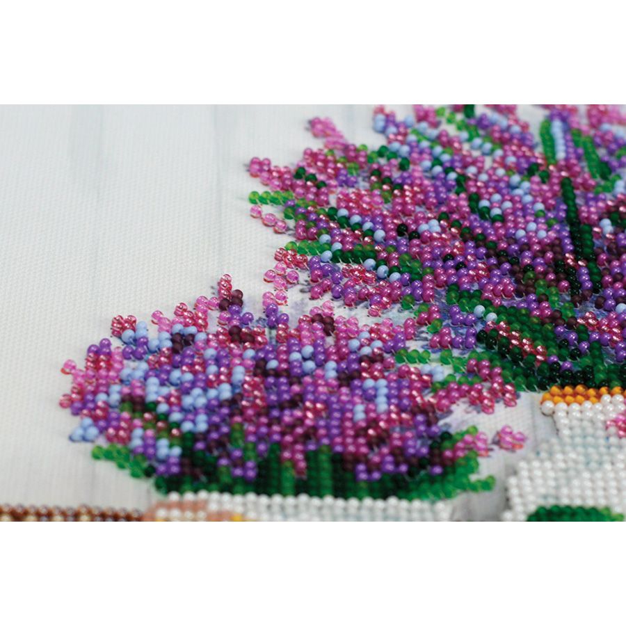 Profumo di lavanda