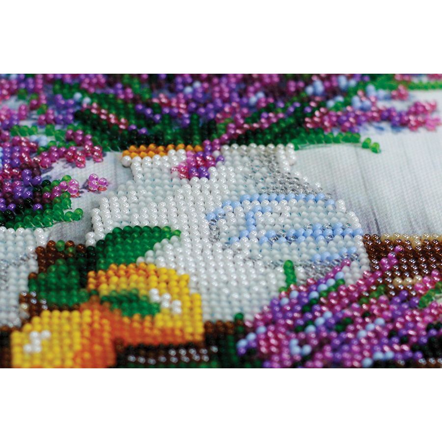 Profumo di lavanda