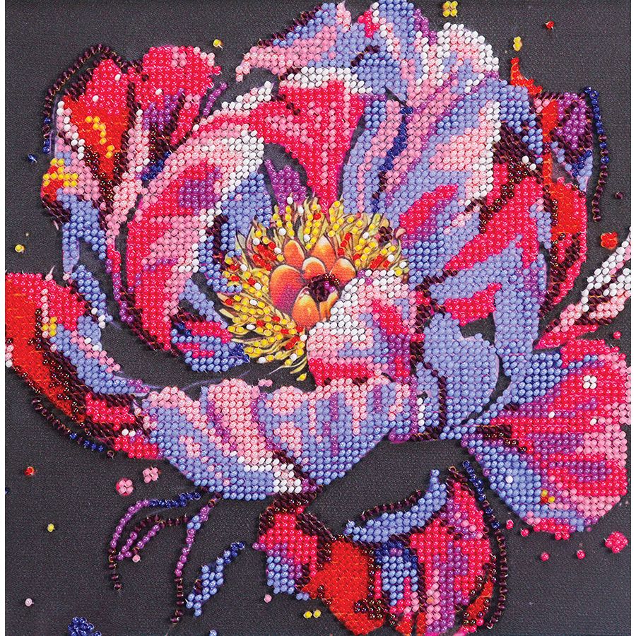 Fioritura