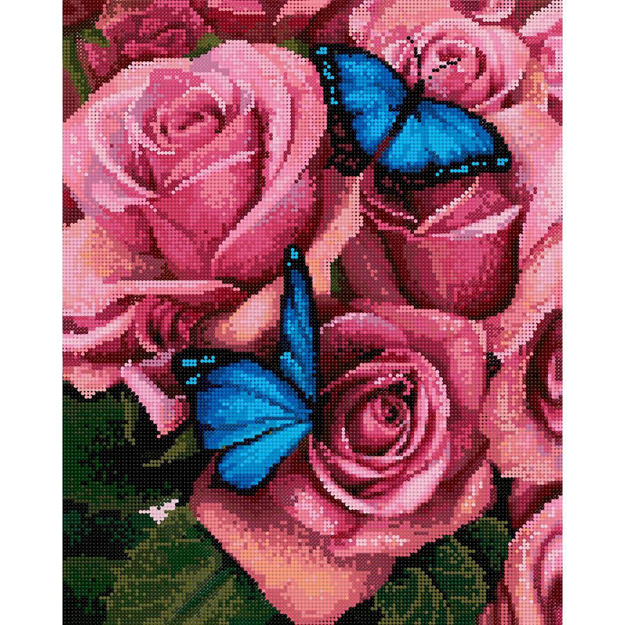 Belle rose