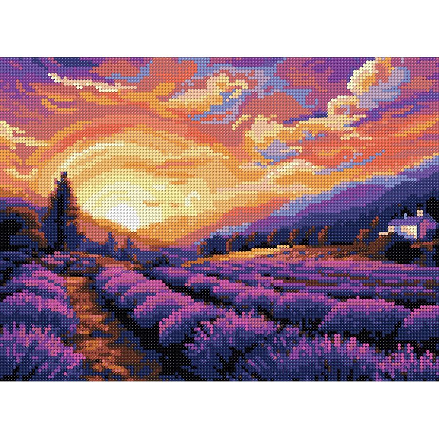 Lavanda al tramonto